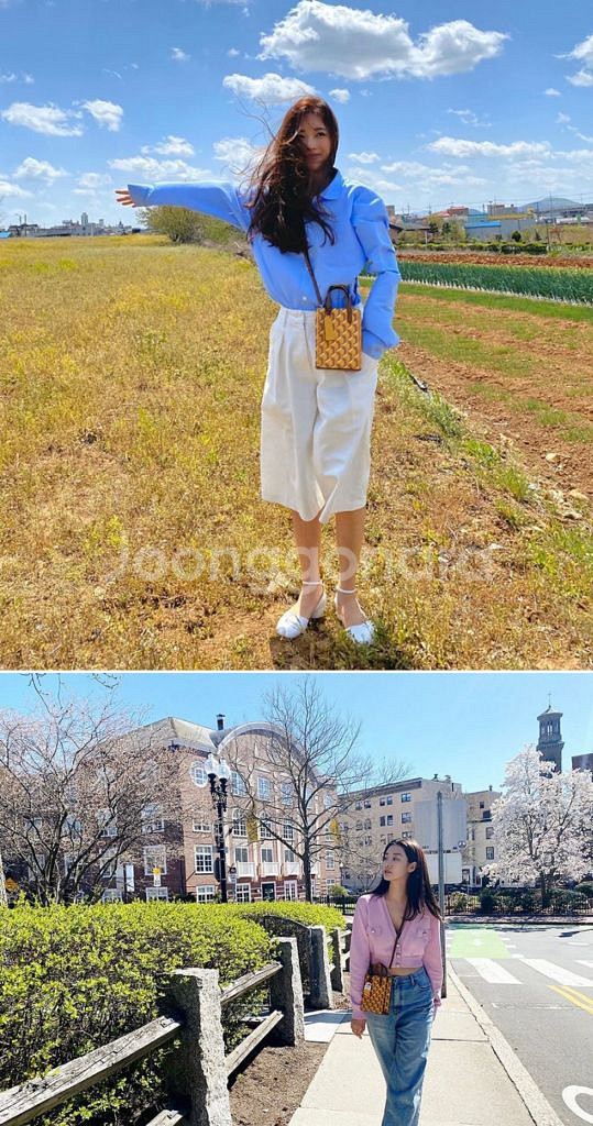 로사케이/ 카바스 모노그램 토트 XS(새상품)--6