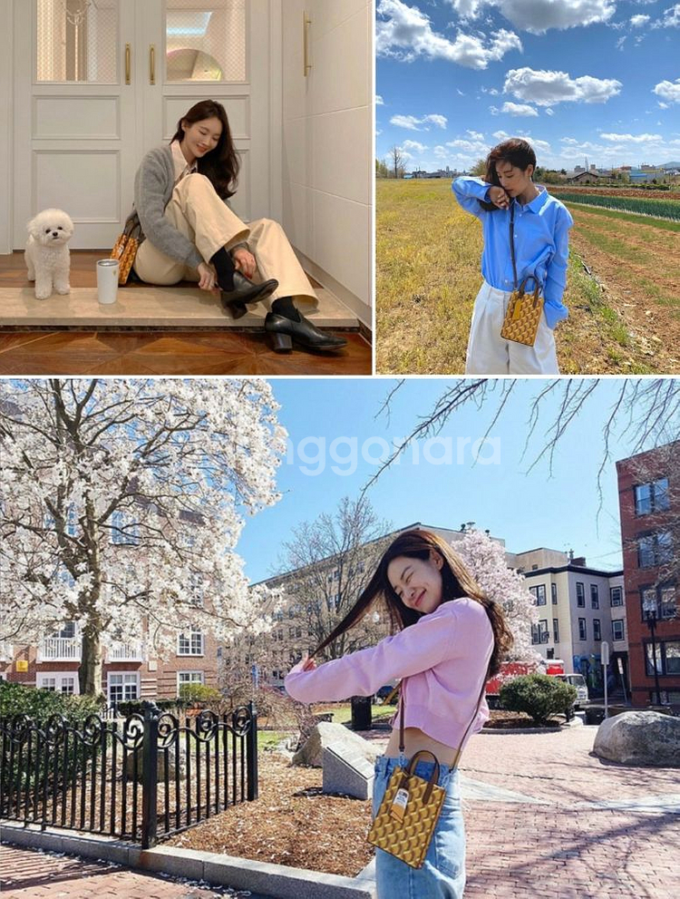 로사케이/ 카바스 모노그램 토트 XS(새상품)--7