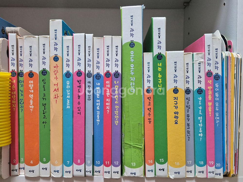 베이비올 창작 , 베이비올 수과학 일괄 택포--1