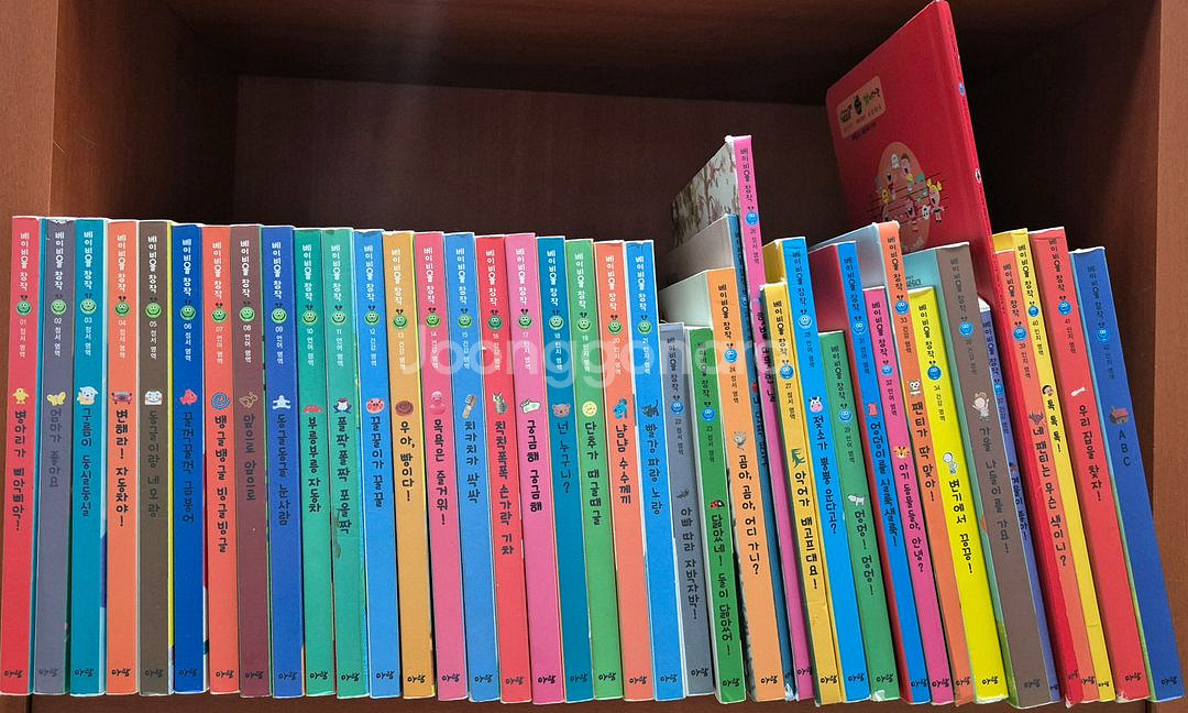 베이비올 창작 , 베이비올 수과학 일괄 택포--6