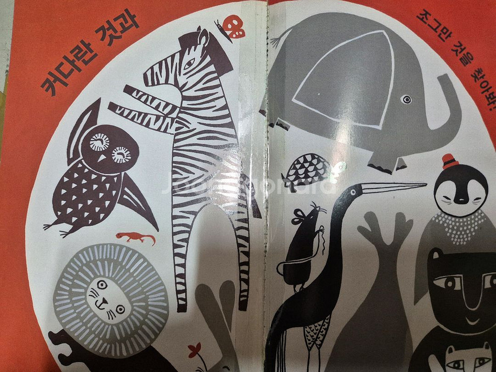 베이비올 창작 , 베이비올 수과학 일괄 택포--8