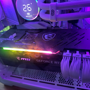 본체+MSI RTX 3080 Ti (그래픽카드 별도판매도 가능)