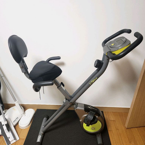 숀리 엑스바이크 +매트등