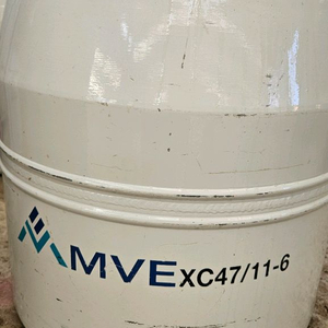 MVE XC47/11-6 47리터 질소통 이미지