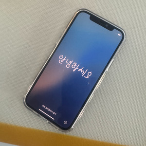 아이폰12프로 256gb 그래파이트