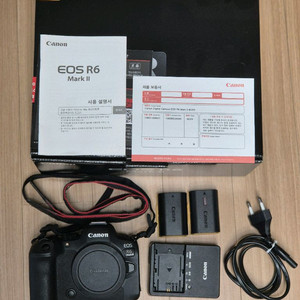 캐논 EOS R6 Mark II 미러리스 카메라