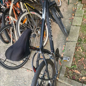 블랙캣 mtb 산악자전거