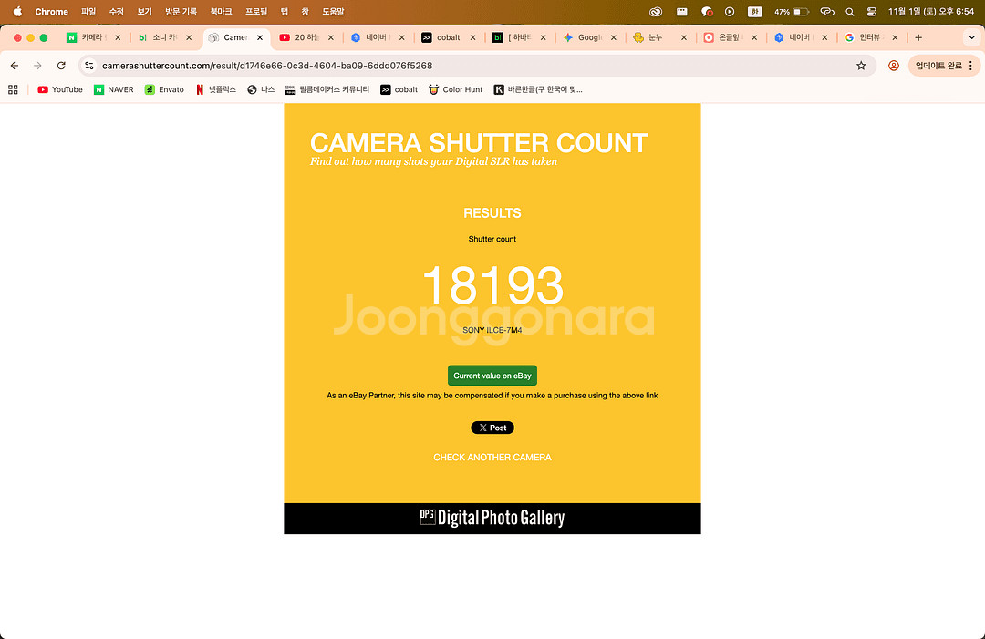 소니 a7m4 + 2470gm 금계륵 팝매합니다--5