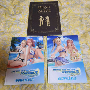 데드오어얼라이브 포토북2권 + 히스토리북 일괄로 팝니다