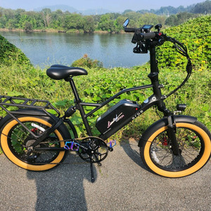 아르페전기자전거