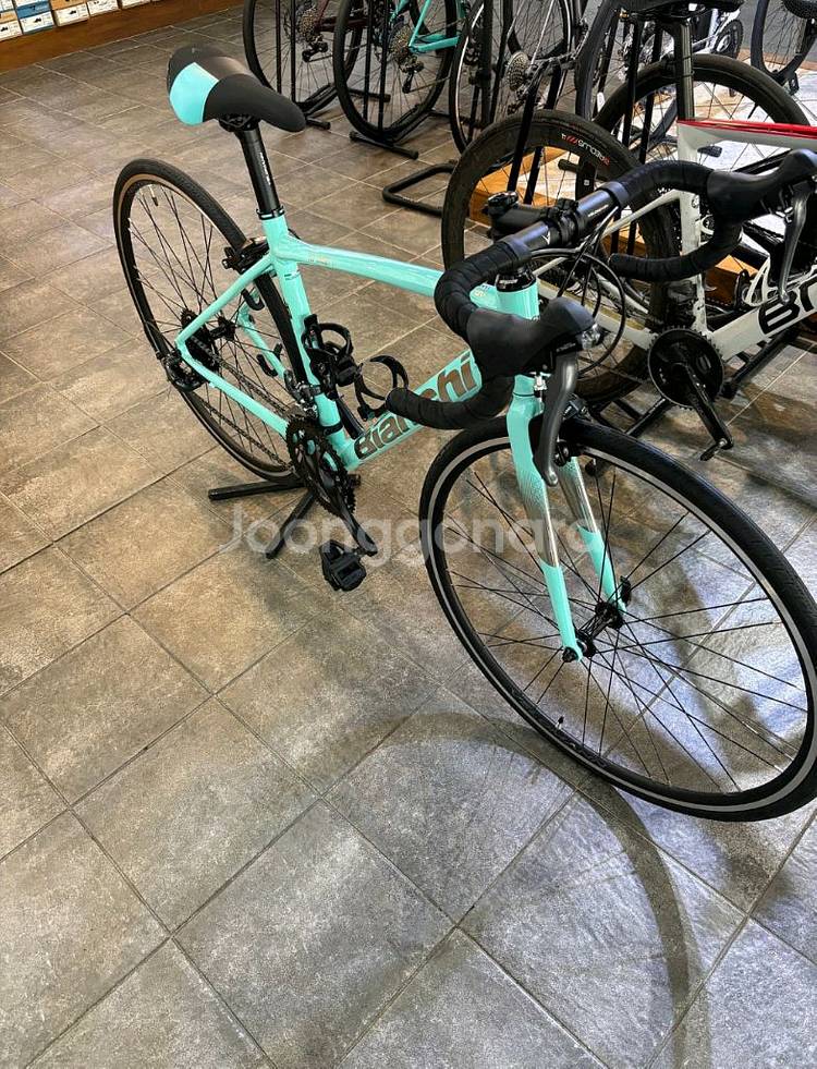 비앙키 니로네7 25년형--0