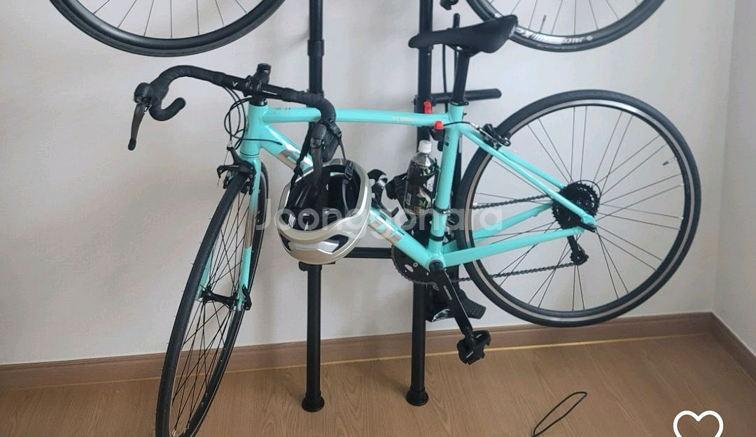 비앙키 니로네7 25년형--1