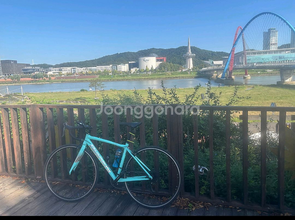 비앙키 니로네7 25년형--2