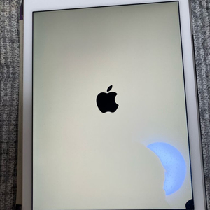 아이패드 에어 2세대 64GB WiFi