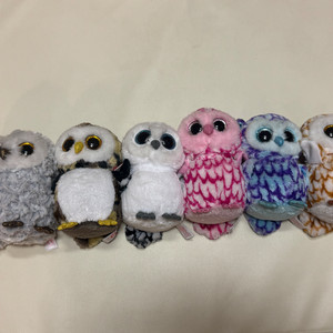 TY 부엉이 올빼미 인형