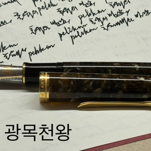 펠리칸 m1000 에프촉 르네상스 브라운 만년필 판매