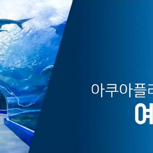 여수 아쿠아플라 종일권 +헬가스텐첼 사진전2