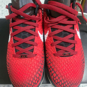 코비6 프로트로 올스타 260