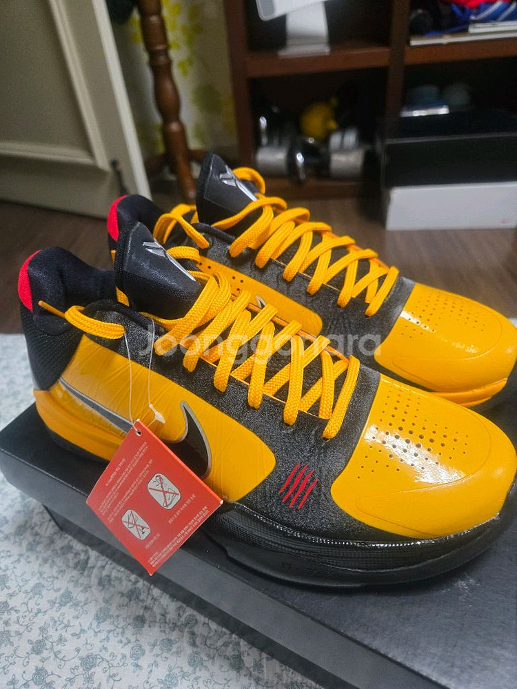 코비5 브루스리--0