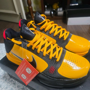 코비5 브루스리