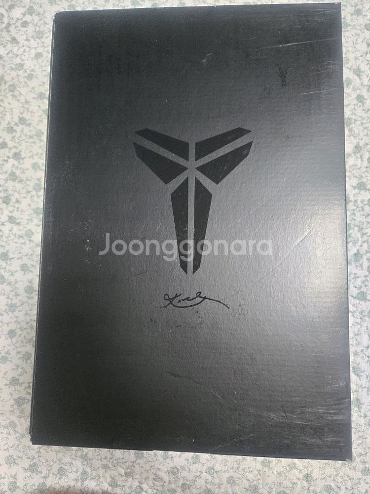 코비5 브루스리--1