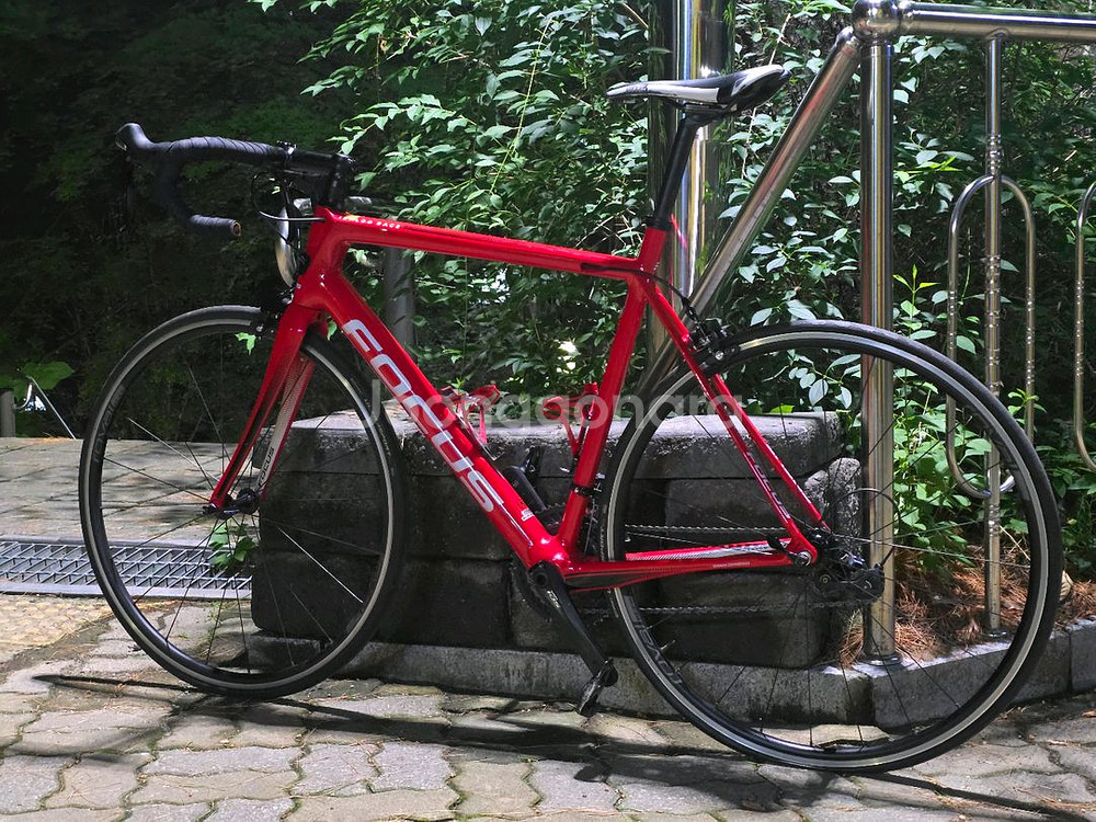 포커스 이자르코 레이스 9.8 105급 카본 로드자전거--0