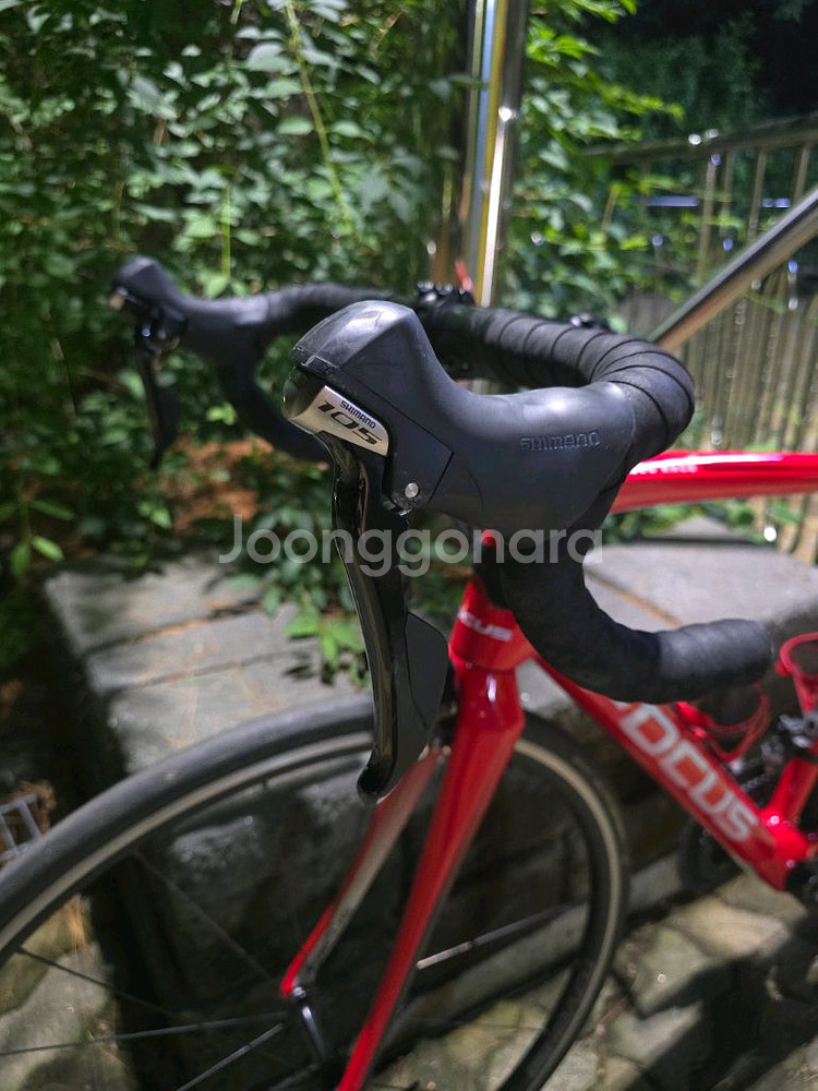 포커스 이자르코 레이스 9.8 105급 카본 로드자전거--1