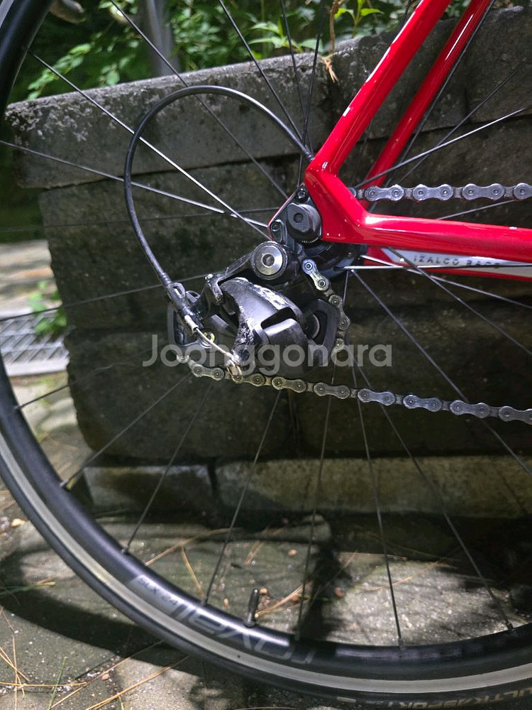 포커스 이자르코 레이스 9.8 105급 카본 로드자전거--2