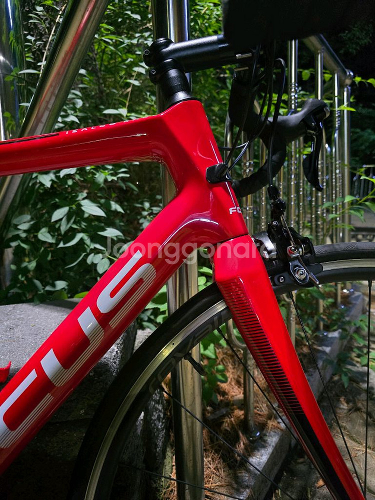 포커스 이자르코 레이스 9.8 105급 카본 로드자전거--3