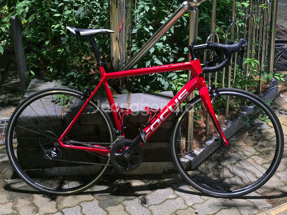 포커스 이자르코 레이스 9.8 105급 카본 로드자전거--6