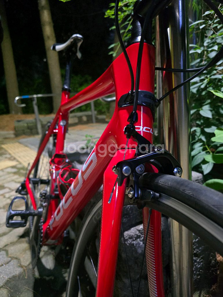 포커스 이자르코 레이스 9.8 105급 카본 로드자전거--8