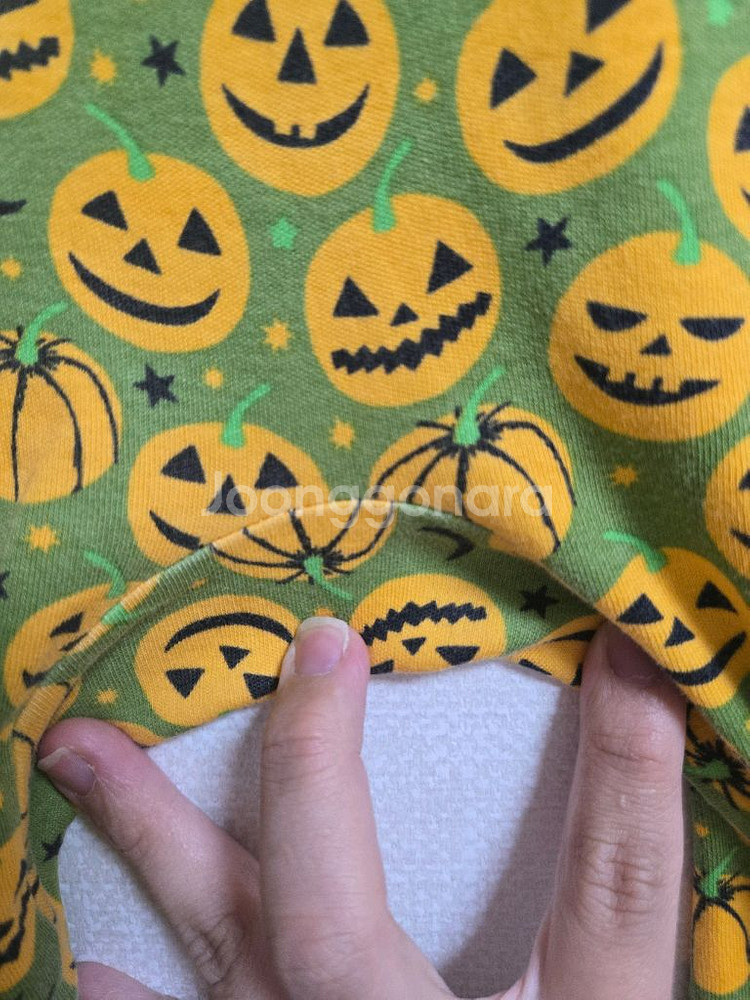 던스 초록호박 덩가리 80--4