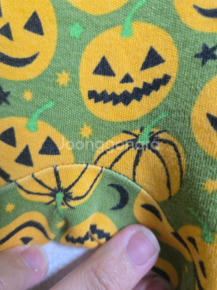 던스 초록호박 덩가리 80--3