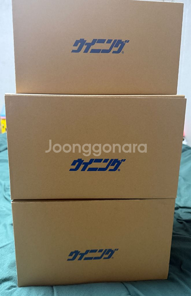 위닝 스파링세트(레드)--5