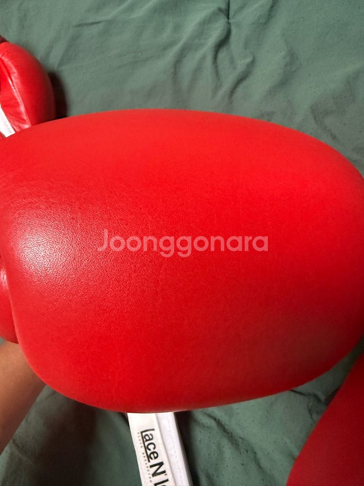 위닝 스파링세트(레드)--2