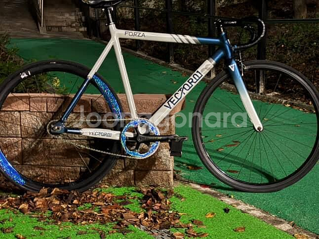 백터 포르자 XL 판/대 급처--0