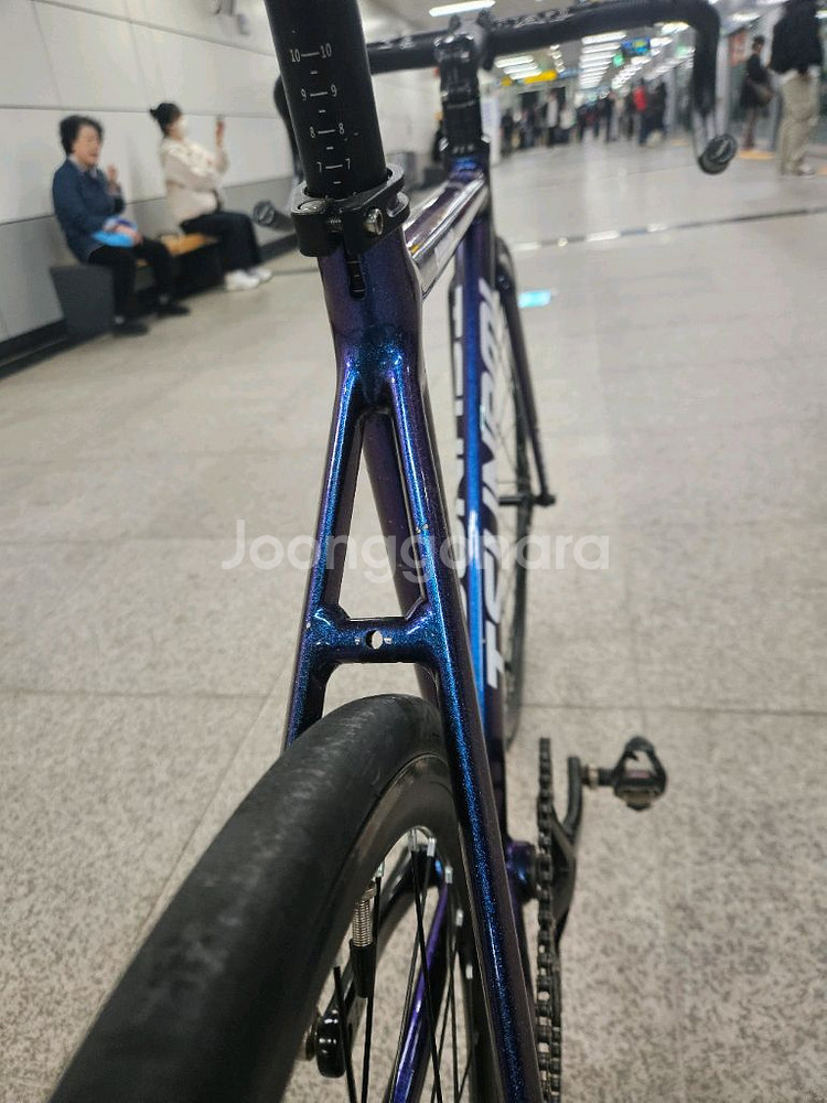 판매/대차 쓰나미 카멜레온 픽시 자전거 SNM100--3