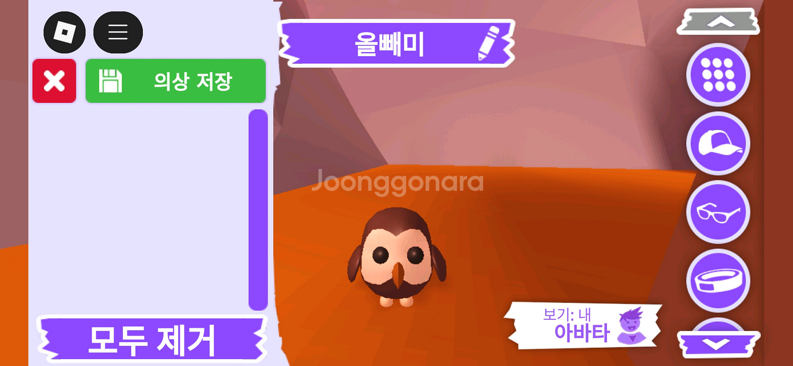 입양하세요 펫 올빼미(부엉이)(뵝)판매합니다--0