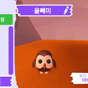 입양하세요 펫 올빼미(부엉이)(뵝)판매합니다