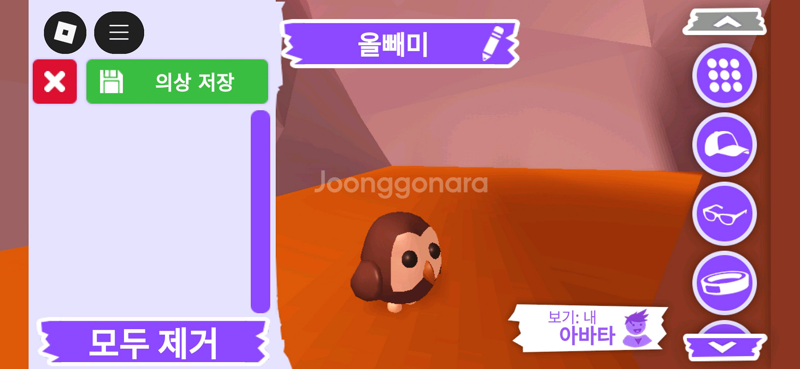 입양하세요 펫 올빼미(부엉이)(뵝)판매합니다--1