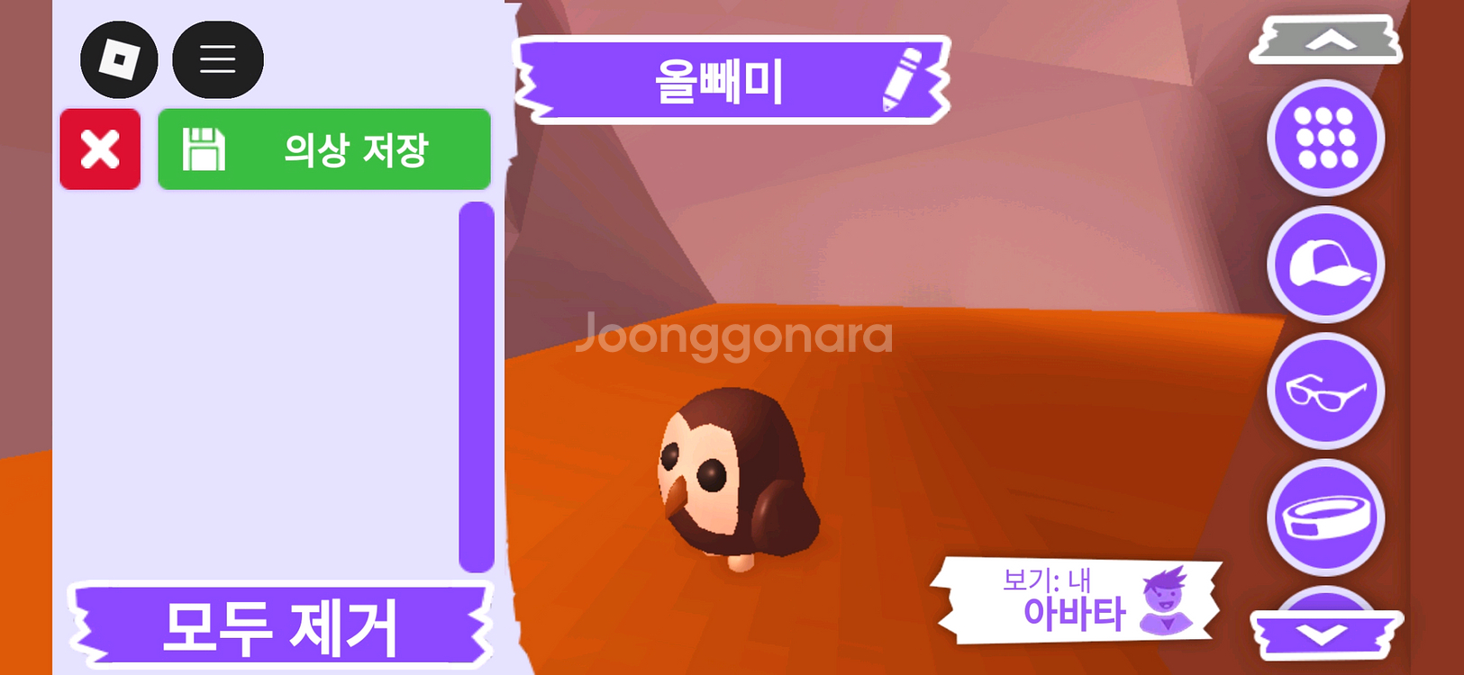 입양하세요 펫 올빼미(부엉이)(뵝)판매합니다--2