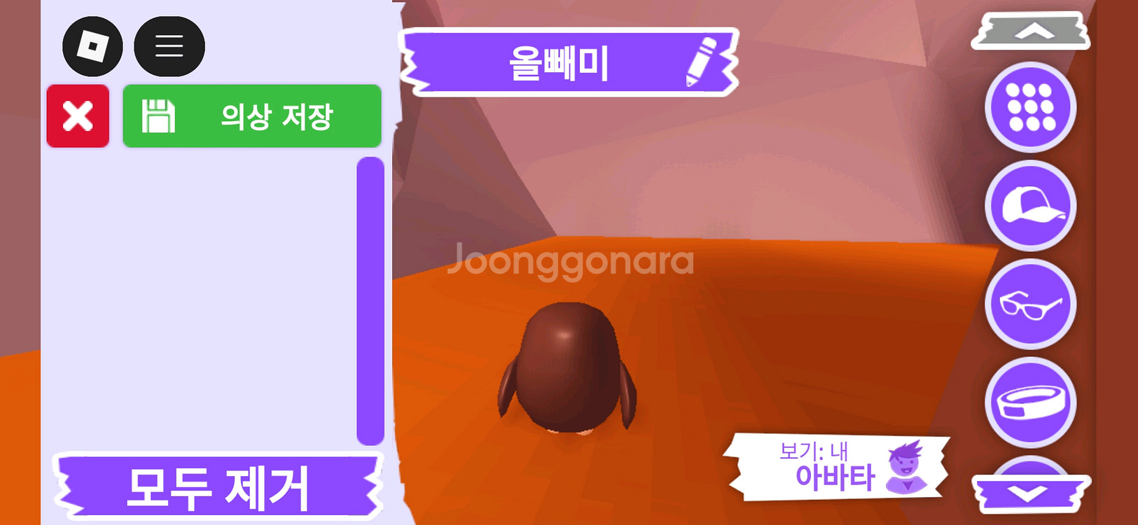 입양하세요 펫 올빼미(부엉이)(뵝)판매합니다--3