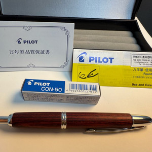 파이롯트 캡리스 우드(F) 만년필