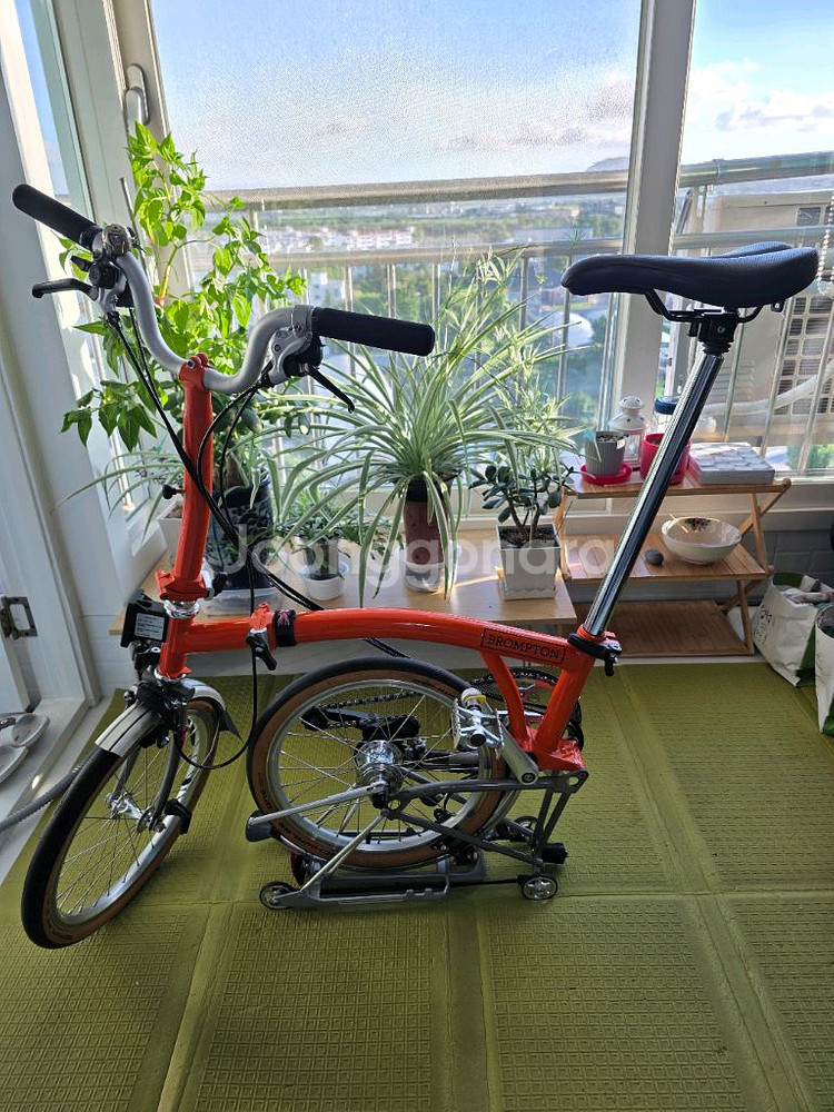 브롬톤 티탄 오렌지 m6r-x--0