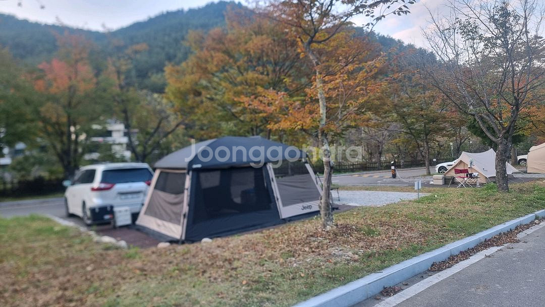 지프 데날리2--1