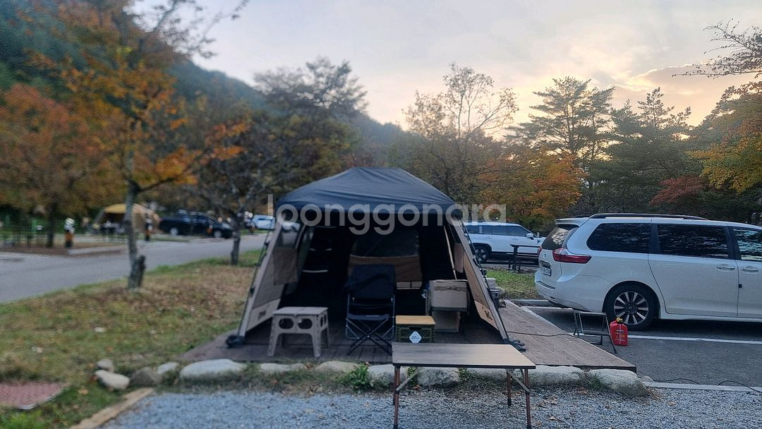 지프 데날리2--4