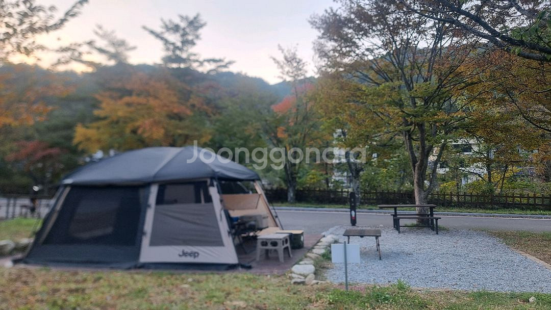 지프 데날리2--2