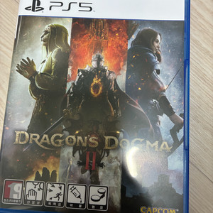 PS5 드래곤즈 도그마2