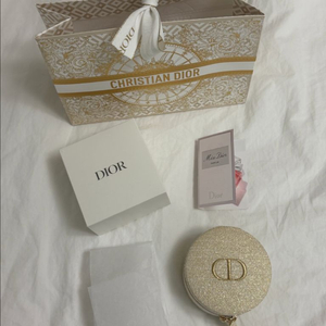 디올 홀리데이 파우치