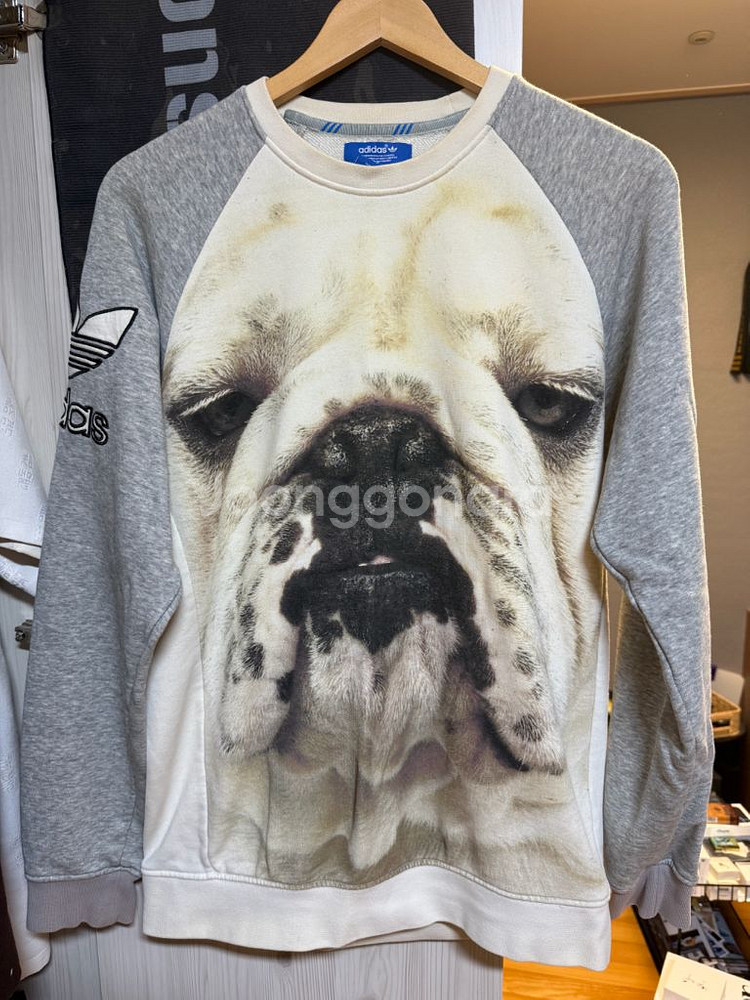 아디다스 불독 맨투맨--0